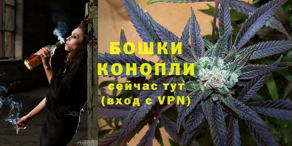 ГАЛЛЮЦИНОГЕННЫЕ ГРИБЫ Бугульма