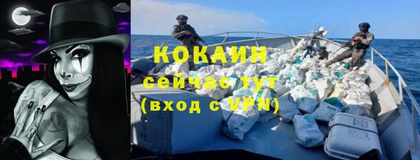 молекула духа Богородск